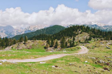 Slovenya 'nın Kamnik Alpleri' ndeki Velika Planina veya Büyük Çayırlık Platosu. Dağ kulübesi ya da Yeşil Tepe 'deki ev. Alp çayır manzarası. Çevre tarımı