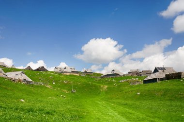 Slovenya 'nın Kamnik Alpleri' ndeki Velika Planina veya Büyük Çayırlık Platosu. Dağ kulübesi ya da Yeşil Tepe 'deki ev. Alp çayır manzarası. Çevre tarımı