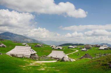 Slovenya 'nın Kamnik Alpleri' ndeki Velika Planina veya Büyük Çayırlık Platosu. Dağ kulübesi ya da Yeşil Tepe 'deki ev. Alp çayır manzarası. Çevre tarımı