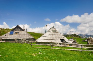Slovenya 'nın Kamnik Alpleri' ndeki Velika Planina veya Büyük Çayırlık Platosu. Dağ kulübesi ya da Yeşil Tepe 'deki ev. Alp çayır manzarası. Çevre tarımı