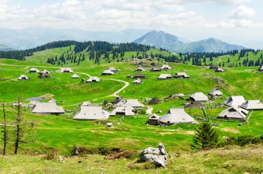 Slovenya 'nın Kamnik Alpleri' ndeki Velika Planina veya Büyük Çayırlık Platosu. Dağ kulübesi ya da Yeşil Tepe 'deki ev. Alp çayır manzarası. Çevre tarımı
