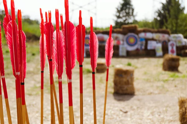 Rod Ethnic Sport Traditional Archery Traditional Bow Arrow Archery Colored —  Fotos de Stock