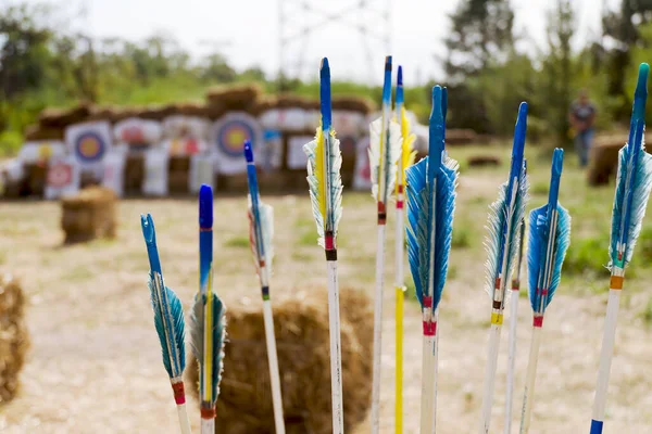 Rod Ethnic Sport Traditional Archery Traditional Bow Arrow Archery Colored Imagen de stock