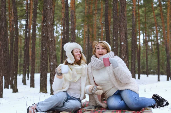 Porträtt Rolig Familj Snöig Park Skog Ung Kvinna Flicka Och — Stockfoto