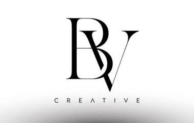 Siyah ve Beyaz BV Minimalist Serif Modern Harf Logosu. BV Yaratıcı Serif Logo Tasarımı Simge Vektörü