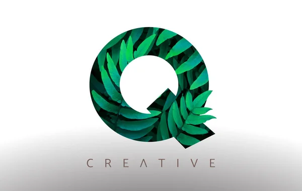Icône Conception Logo Vert Botanique Eco Leaf Lettre Faite Partir — Image vectorielle