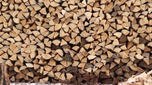 Video Stack Firewood Snow Covered Winter — Vídeo de Stock