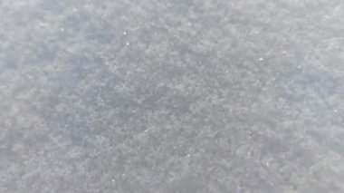 Beyaz Kar Tam Çerçeve Arkaplan Yakından Parlayan Kar Taneleri Frosty Winter 'da Kar Taneleri 