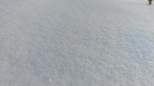 White Snow Full Frame Tło Close Świecące Płatki Śniegu Snowdrift — Wideo stockowe