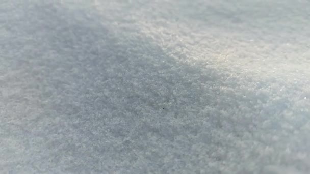 White Snow Full Frame Hintergrund Nahaufnahme Glühende Schneeflocken Auf Schneewehen — Stockvideo