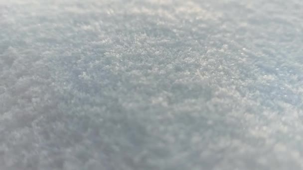 Bianco Neve Cornice Completa Sfondo Close Fiocchi Neve Incandescenti Cumulo — Video Stock