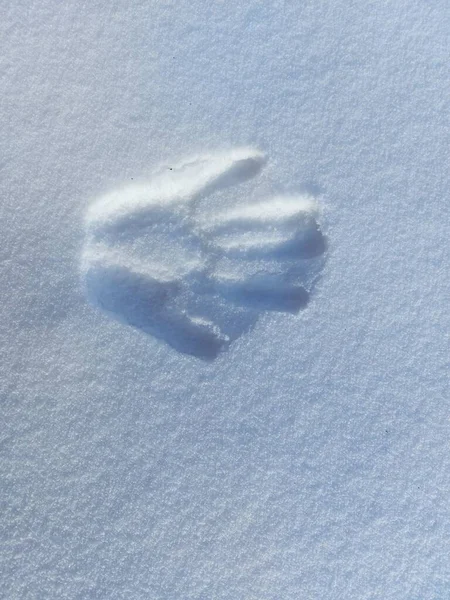 雪地上的人类手印 — 图库照片