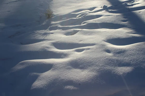 森林里的雪地漂流 — 图库照片