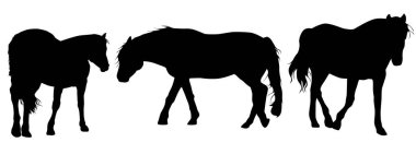 Atların siluetleri vektör illüstrasyonunu ayarlar