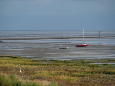 Almanya 'nın Juist adasında yaz mevsimi