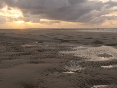 Almanya 'nın Juist adasında yaz mevsimi