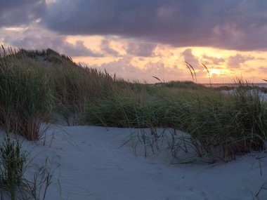 Almanya 'nın Juist adasında yaz mevsimi