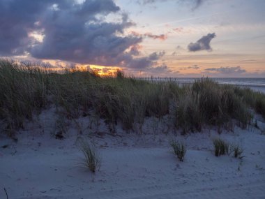 Almanya 'nın Juist adasında yaz mevsimi
