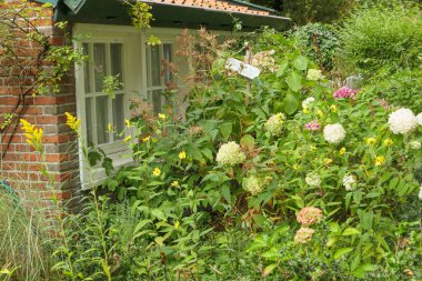 Almanya 'nın Juist adasında yaz mevsimi