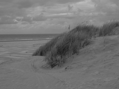 Alman Kuzey Denizi 'ndeki Juist adasında yaz mevsimi
