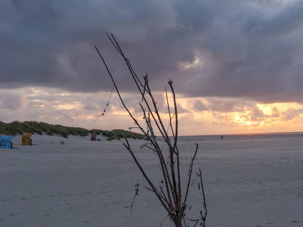 Summer Time German Island Juist — Stock Photo, Image