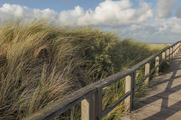 Sommerzeit Auf Der Insel Juist — Stockfoto