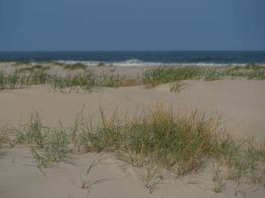 Alman kuzey denizindeki Juist Adası