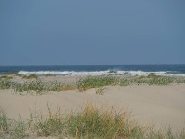 Alman kuzey denizindeki Juist Adası