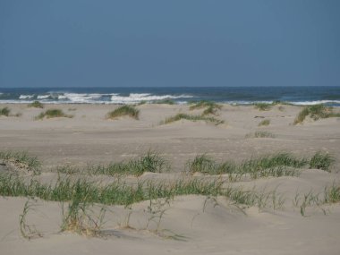 Alman kuzey denizindeki Juist Adası