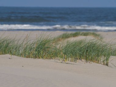 Alman kuzey denizindeki Juist Adası
