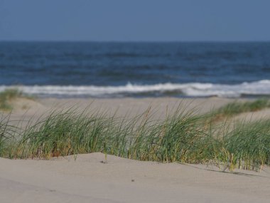 Alman kuzey denizindeki Juist Adası