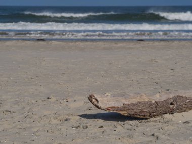 Alman kuzey denizindeki Juist Adası