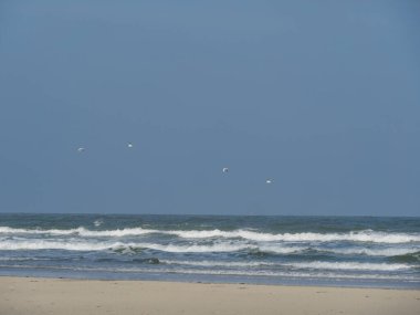 Alman kuzey denizindeki Juist Adası