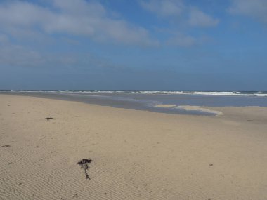 Alman kuzey denizindeki Juist Adası