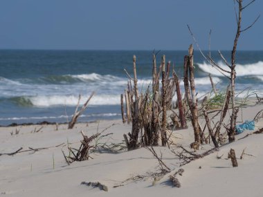 Alman kuzey denizindeki Juist Adası