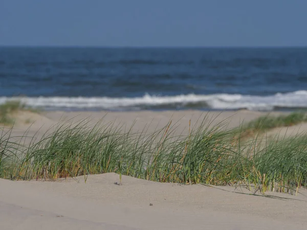 Alman kuzey denizindeki Juist Adası