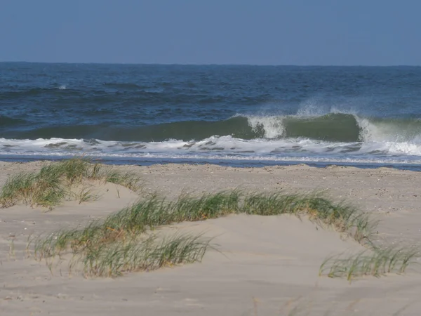 Alman kuzey denizindeki Juist Adası