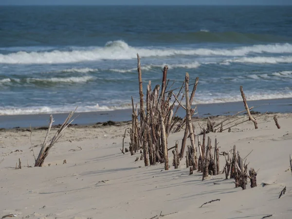Alman kuzey denizindeki Juist Adası