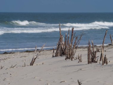 Alman kuzey denizindeki Juist Adası