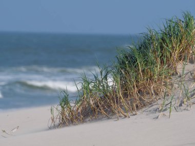 Alman kuzey denizindeki Juist Adası