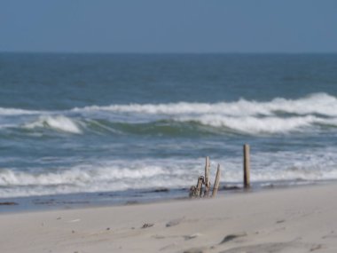 Alman kuzey denizindeki Juist Adası
