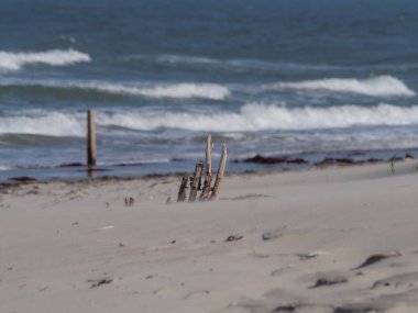 Alman kuzey denizindeki Juist Adası