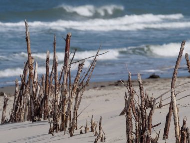 Alman kuzey denizindeki Juist Adası