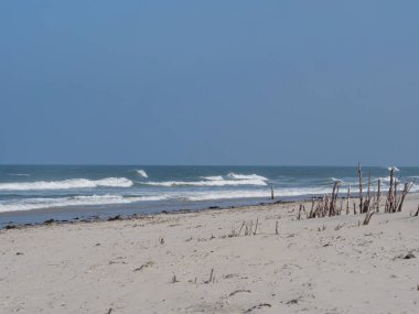 Alman kuzey denizindeki Juist Adası