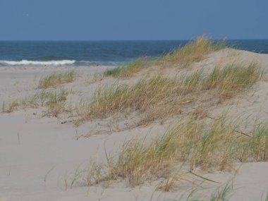 Alman kuzey denizindeki Juist Adası