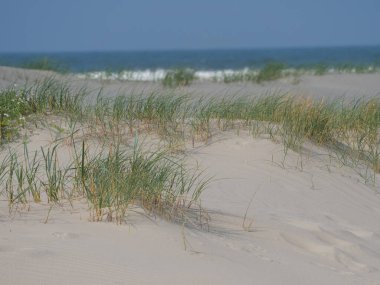 Alman kuzey denizindeki Juist Adası
