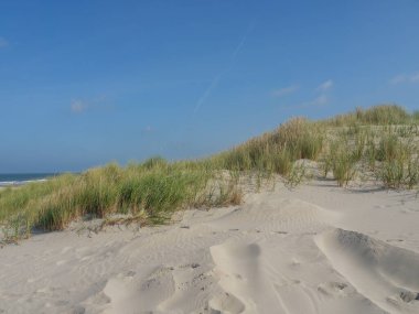 Alman kuzey denizindeki Juist Adası