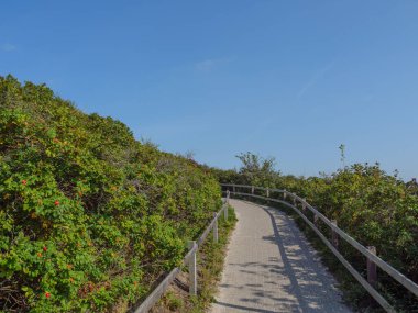 Alman kuzey denizindeki Juist Adası