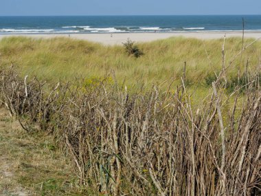Alman kuzey denizindeki Juist Adası