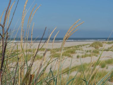 Alman kuzey denizindeki Juist Adası